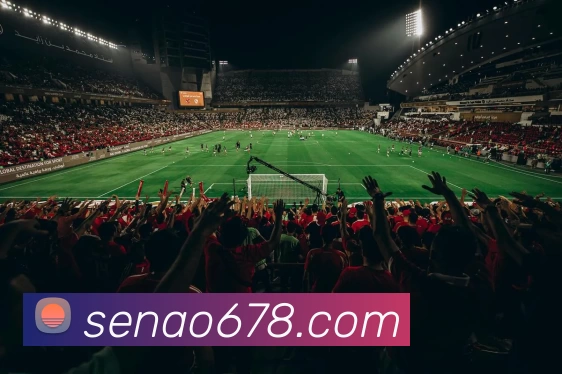 多媒体互动体验